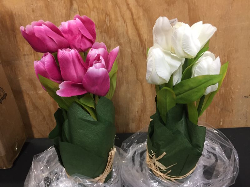 Photo 1 of  faux  tulips 2 pack--white / pink