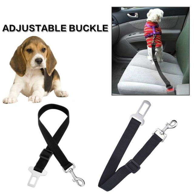 Photo 1 of 20 Pack Fypo Pet Car Seat Belts 15inch to 24inch 