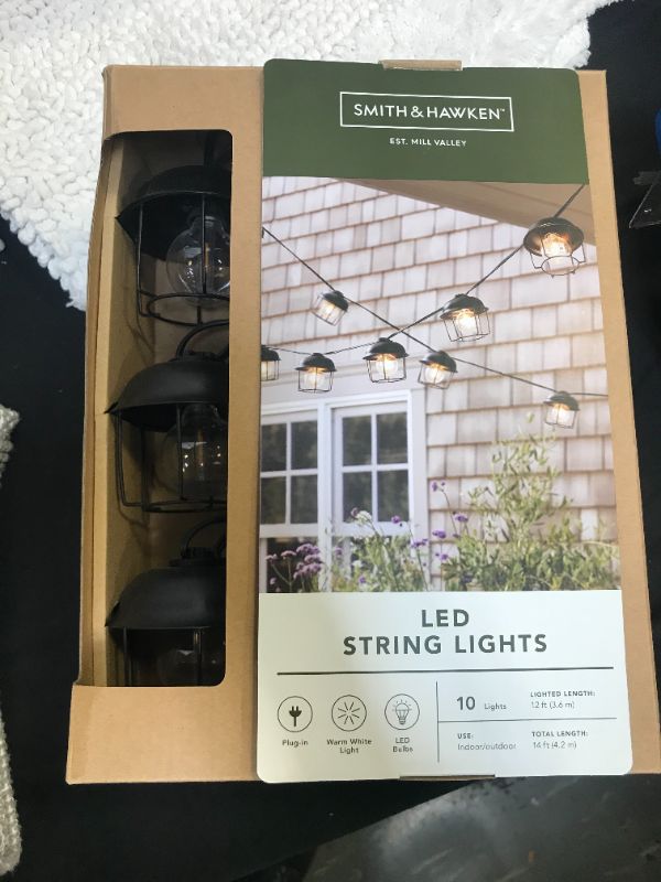 Photo 1 of 10ct LED Cage String Lights Black - Smith & Hawken
