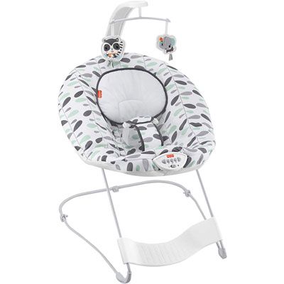 Photo 1 of Fisher-Price See & Soothe Deluxe Bouncer - Climbing Leaves
