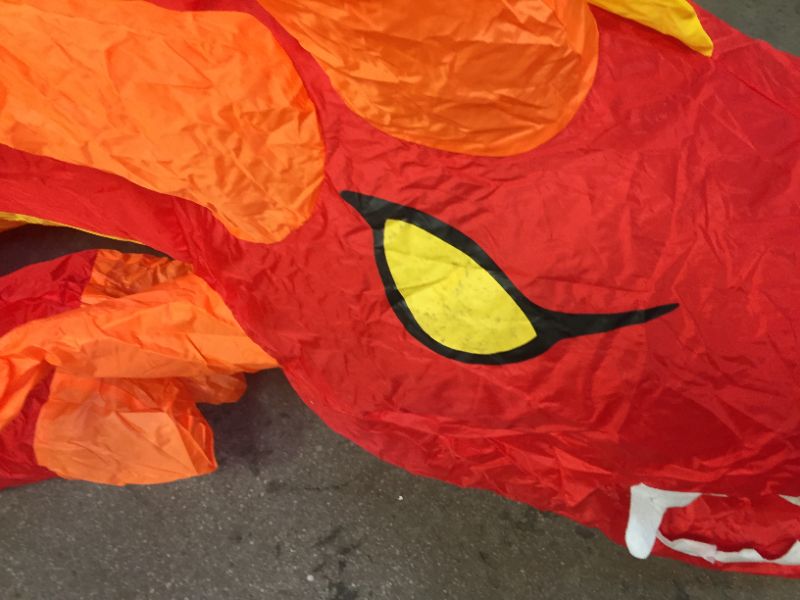 Photo 1 of giant inflatable dragon 