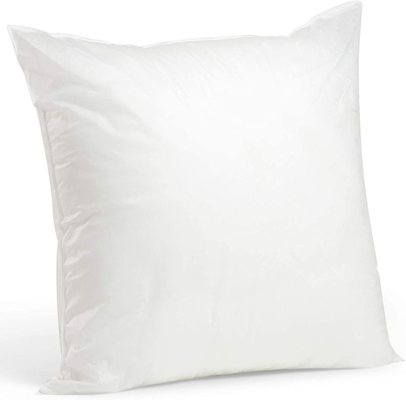 Photo 1 of 
Foamily 12 x 20 Premium Hypoallergenic Lumbar Throw Pillow Insert Sham Square Form Polyester