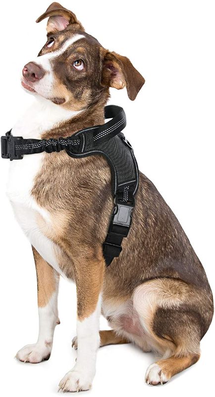 Photo 1 of 2PC LOT
rabbitgoo Dog Harness, Adjustable Dog Walking Harness with Handle and Shock-Absorbing Bungee Straps, Reflective Dog Harness No Choke, Halter Harness with Padded Strap for Extra Large Dogs (Black,XL)

WPTCAL Fleece Neck Gaiter Neck Warmer for Women