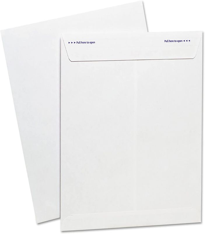 Photo 1 of Ampad Fastrip Security Catalog Envelope, 9 Inch x 12 Inch, Peel & Seal Adhesive, Security Tint, Tear-Away Quick-Open Strip, White, 100 Per Box (73127)
