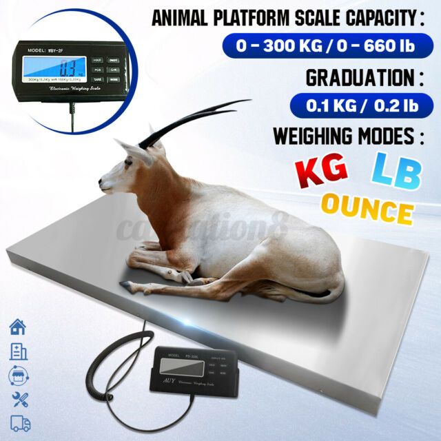 Photo 1 of 661lb Digital Livestock Vet Scale Pet Dog Sheep Shape Heavy Duty Weight Diet
