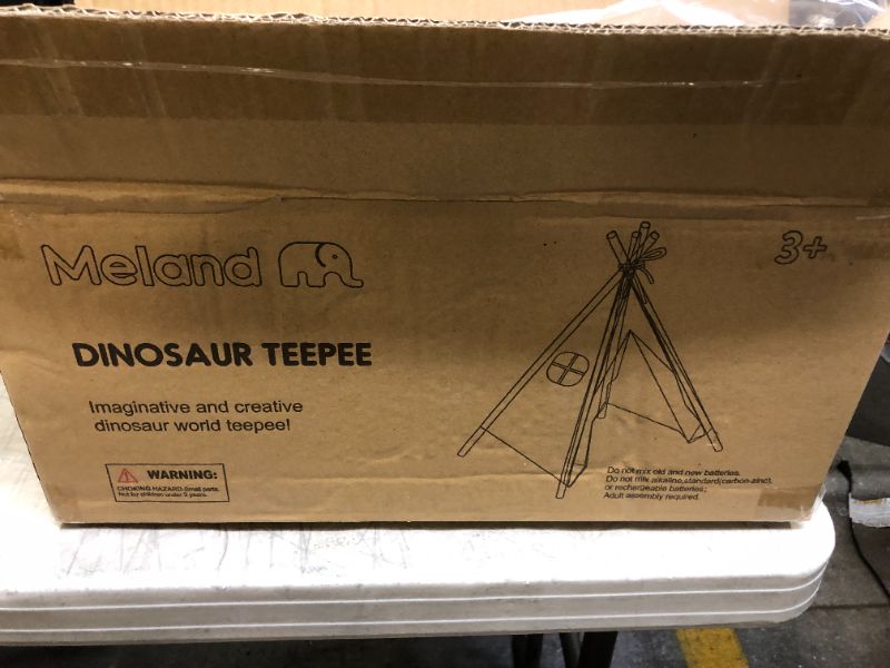 Photo 1 of Dinosaur Themed Teepee