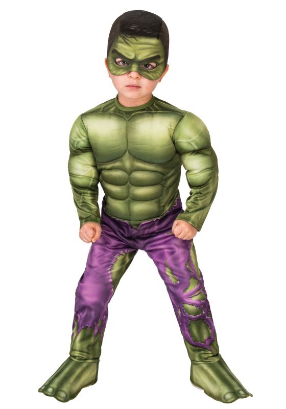Photo 1 of Incredible Hulk Deluxe Toddler Costume
size 1-2  year olds