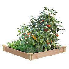 Photo 1 of Greens fence co raised garden bed 4ft x 4ft x 5.5in