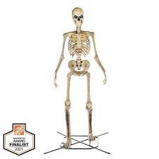 Photo 1 of 12 ft Giant-Sized Skeleton with LifeEyes(TM) LCD Eyes