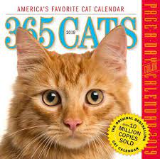 Photo 1 of 365 Cats Page-A-Day Calendar 2019 (Calendar)