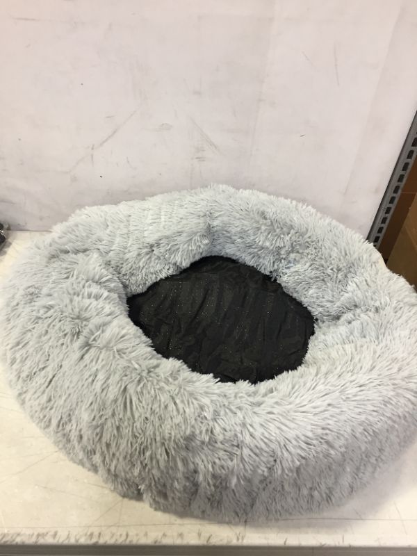 Photo 1 of 24" x 24" PET BED 