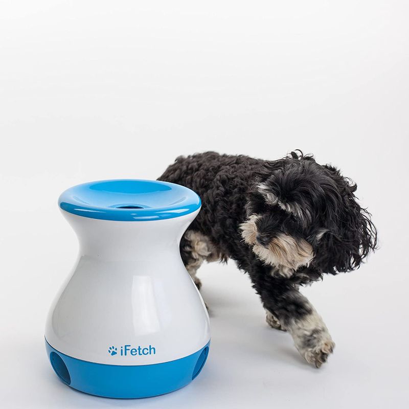Photo 1 of iFetch Frenzy Fetch Toy for Dogs - Non-Electronic Brain Teaser for Small Dogs; uses Mini Tennis Balls

