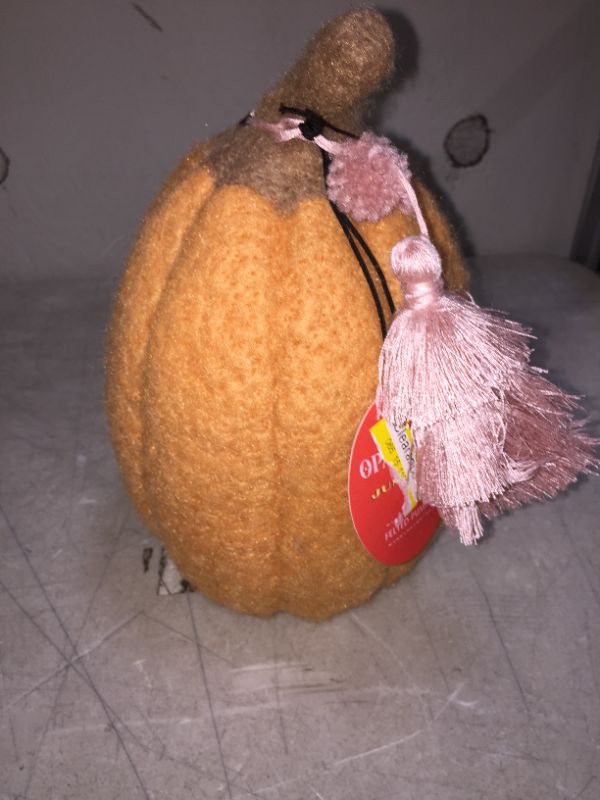 Photo 2 of 9" x 6" Felted Pumpkin Figurine Apricot - Opalhouse designed with Jungalow