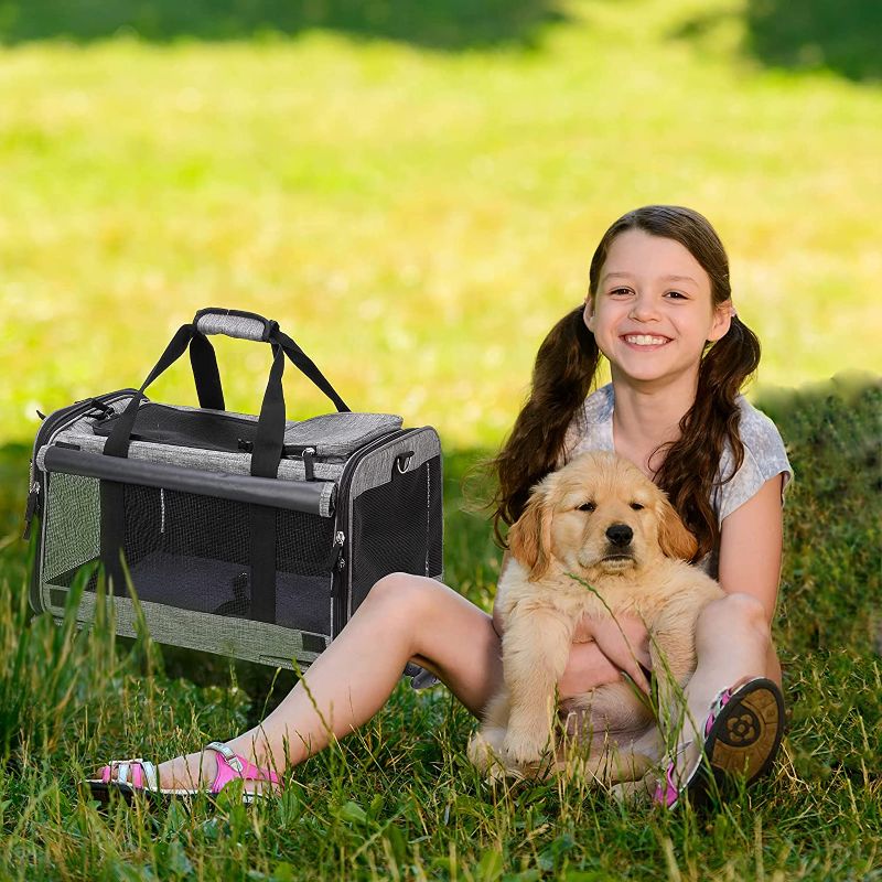 Photo 1 of Coopeter Dog Carrier, Pet Carrier Airline Approved with Durable Mesh Panels,Easy to Fold,Grey 