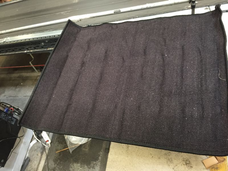 Photo 1 of 26.5 x 34.5in black rug 