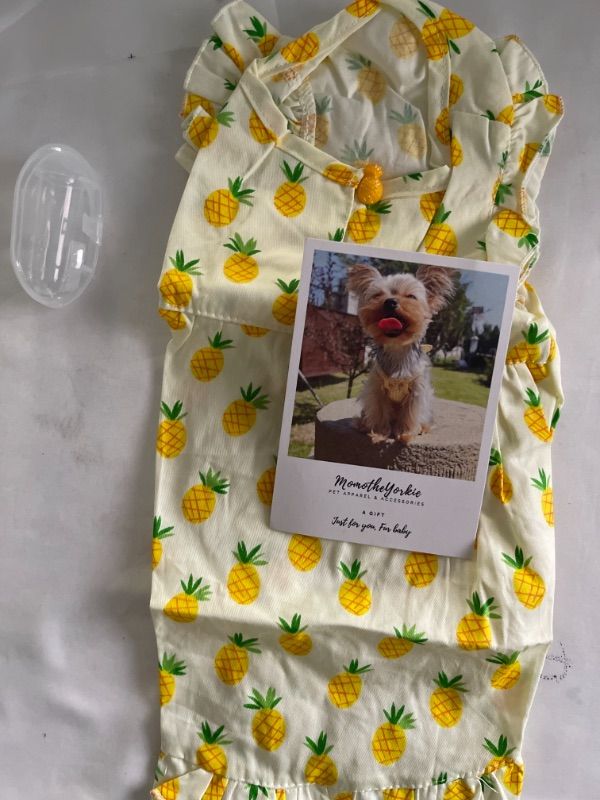 Photo 1 of DOG SHIRT AND TOOTHBRUSH 