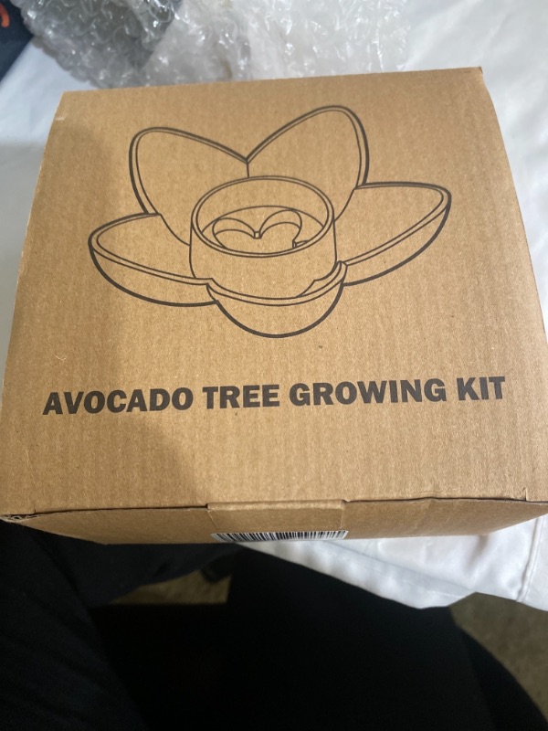 Photo 1 of AVOCADO GROWING KIT