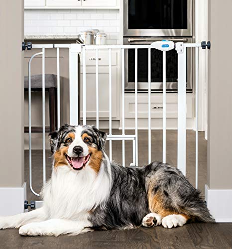 Photo 2 of Carlson Extra Wide Walk Through Pet Gate with Small Pet Door, Includes 4-Inch Extension Kit, Pressure Mount Kit and Wall Mount Kit