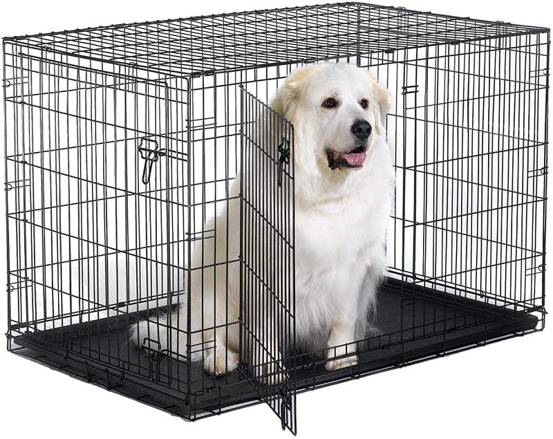 Photo 1 of AmazonBasics Double-Door Folding Metal Dog Crate - Small (24x19x18 Inches)
v