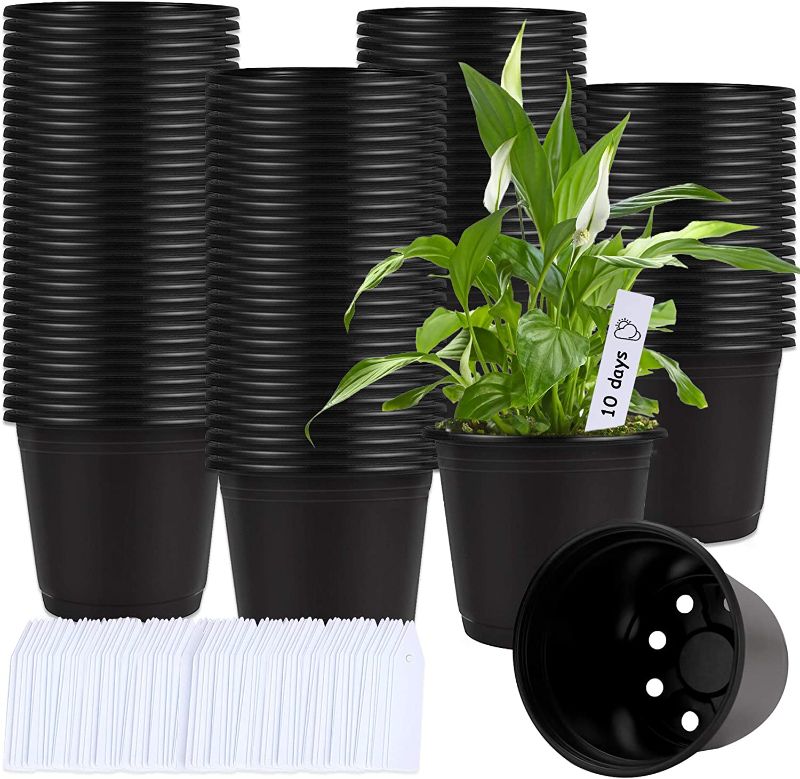 Photo 1 of 100 Pcs 0.5 Gallon Black Plastic Plant Nursery Pots 6 Inches Seed Starting Pots Containers