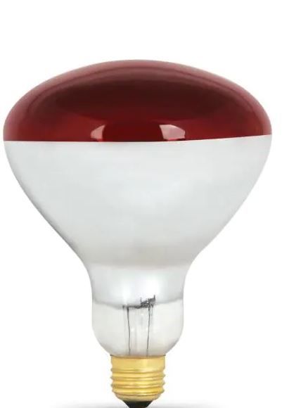 Photo 1 of 250-Watt Red BR40 Dimmable Incandescent 120-Volt Infrared Heat Lamp Light Bulb (1-Bulb)
