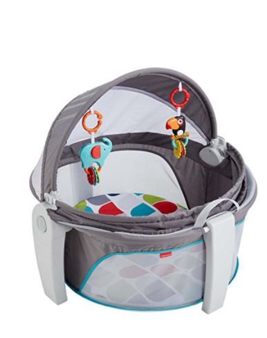 Photo 1 of Fisher-Price On-the-Go Baby Dome
