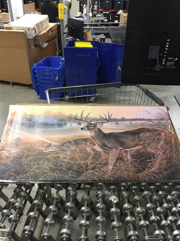 Photo 1 of 40x20" canvas wall art