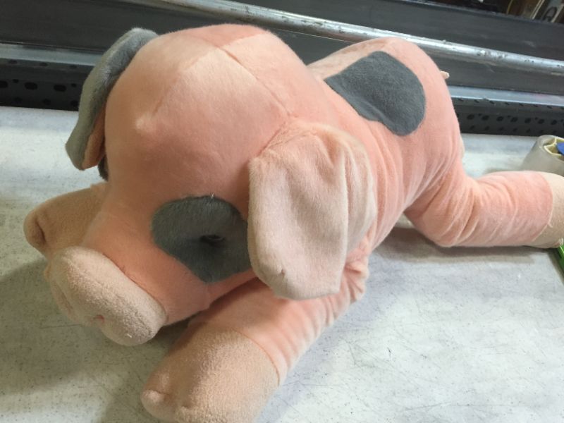 Photo 1 of Aurora - Super Flopsie - 28" Oink
