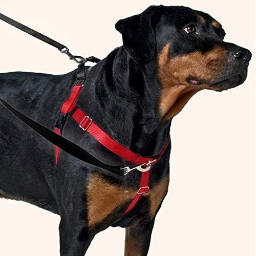 Photo 1 of 2 Hounds Design Freedom No-Pull Dog Harness with Leash, Medium, 1-Inch Wide, Raspberry
small size