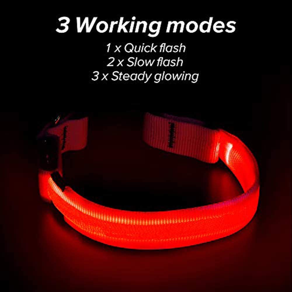 Photo 1 of 4 Illumifun LED Dog Collar, USB Rechargeable Glowing Pet Safety Collar, Adjustable Light Up Collars for Your Small Medium Large Dogs
