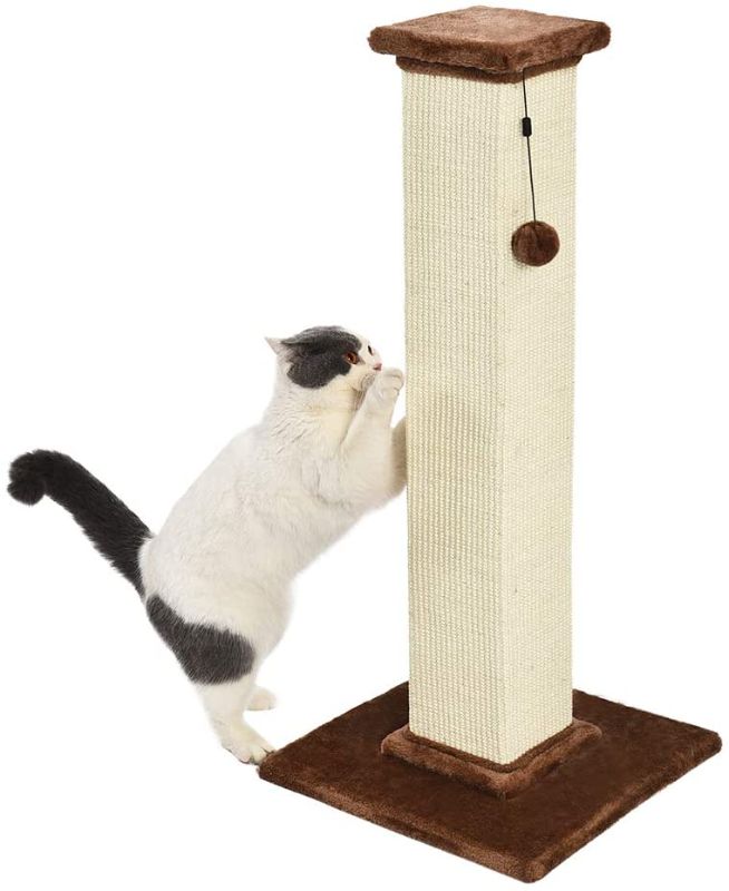 Photo 1 of Amazon Basics Large Premium Tall Cat Scratching Post
