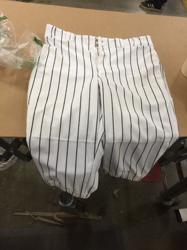 Photo 1 of champion baseball pants large 