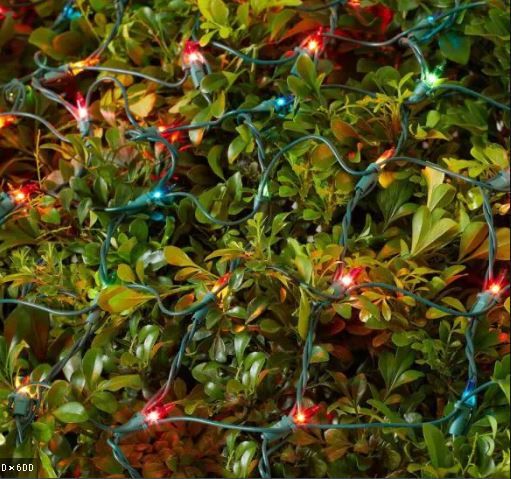 Photo 1 of 300L NET LIGHTS MULTI BULB NET SIZE 4' X 6'
