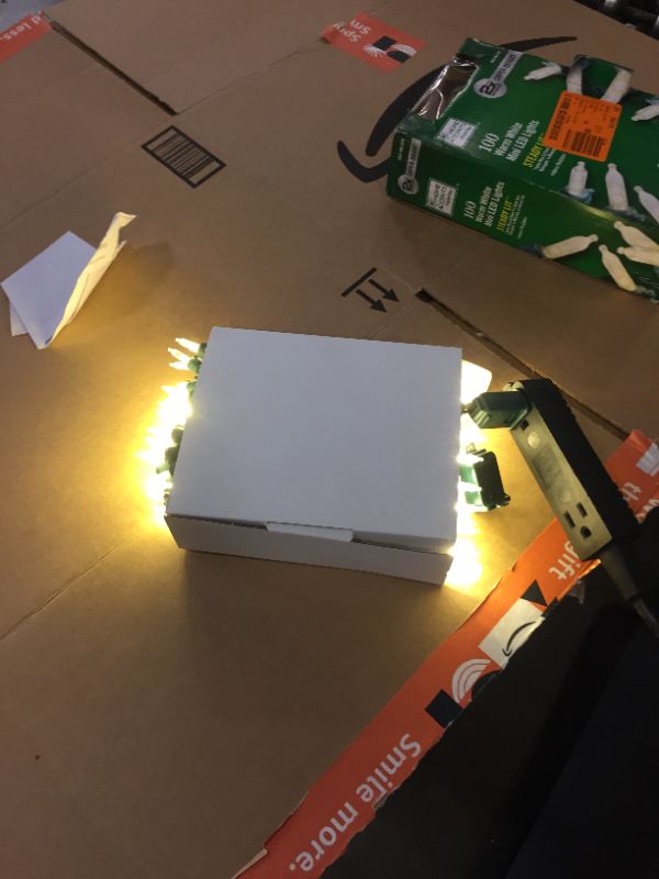 Photo 2 of 28.8 ft. 100-Light Warm White Super-Bright Steady Lit Mini LED Lights
