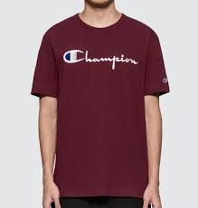 Photo 1 of Champion Men's Classic T-Shirt, Screen Print Script LARGE
