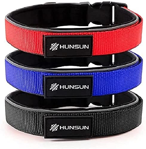 Photo 1 of 2 pack HUNSUN Brands - Nylon Reflective Silk Soft Lining Adjustable Dog Collar Different Color and Size Selection (Ocean Blue, Medium 0.9Wx16L)
