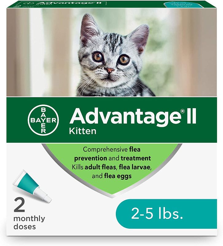 Photo 1 of Advantage II 2-Dose Flea Treatment and Prevention for Kittens, 2-5 Pounds
