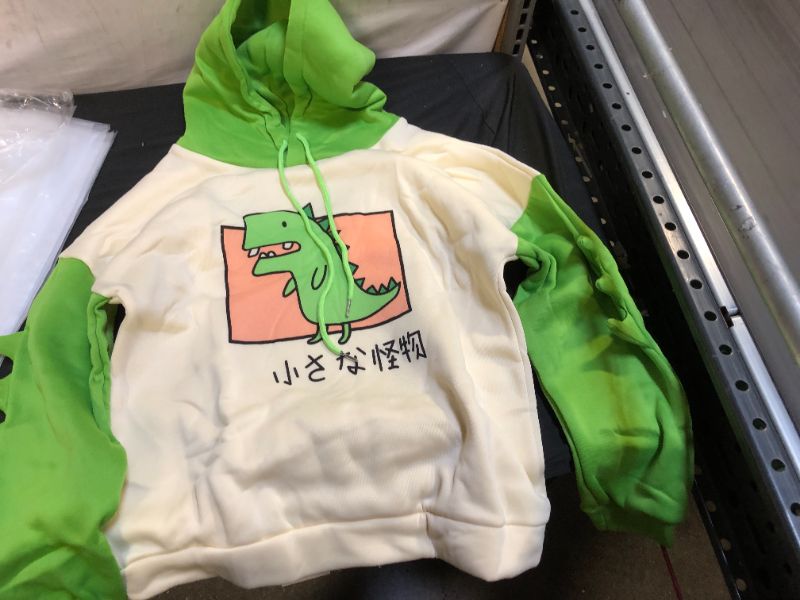 Photo 1 of generic dinosaur hoodie size L