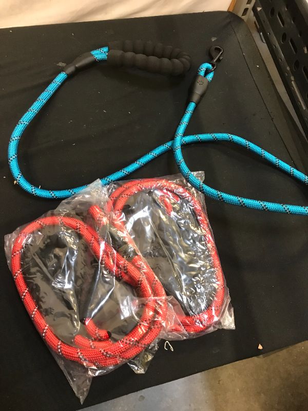 Photo 1 of 3 pack dog leashes
