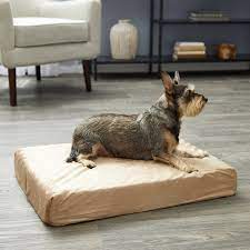 Photo 1 of 26 x 18 dog ped color beige 