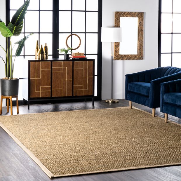 Photo 1 of Beige Seagrass with Border--RUNNER--- 2' 6" x 8' Area Rug