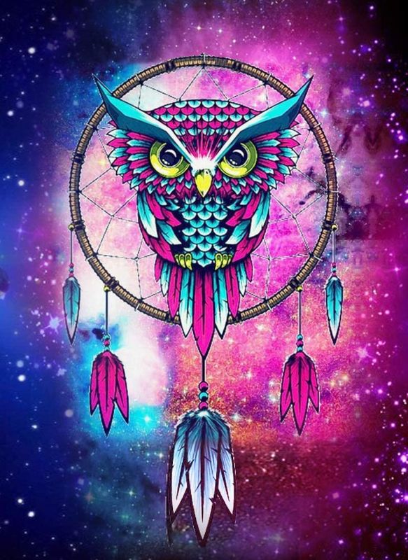 Photo 1 of AIWO Diamond Painting Kits for Adults DIY 5D Round Full Drill Acrylic Paint by Diamonds for Home Wall Decor -Dreamcatcher Owl 12" X 16"
