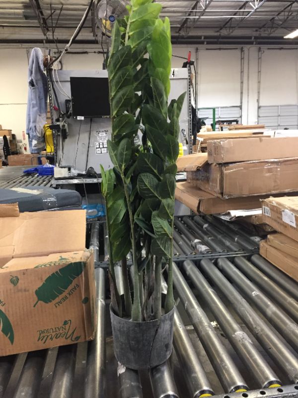 Photo 1 of Artificial Potted Plant 