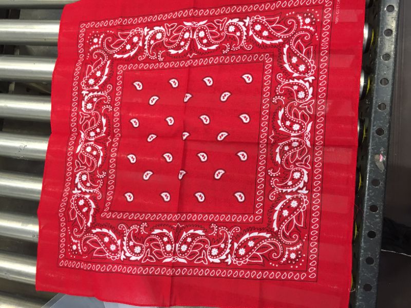 Photo 1 of 30 RED BANDANAS 