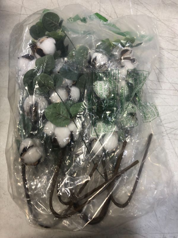 Photo 1 of ARTIFICAL COTTON PLANTS