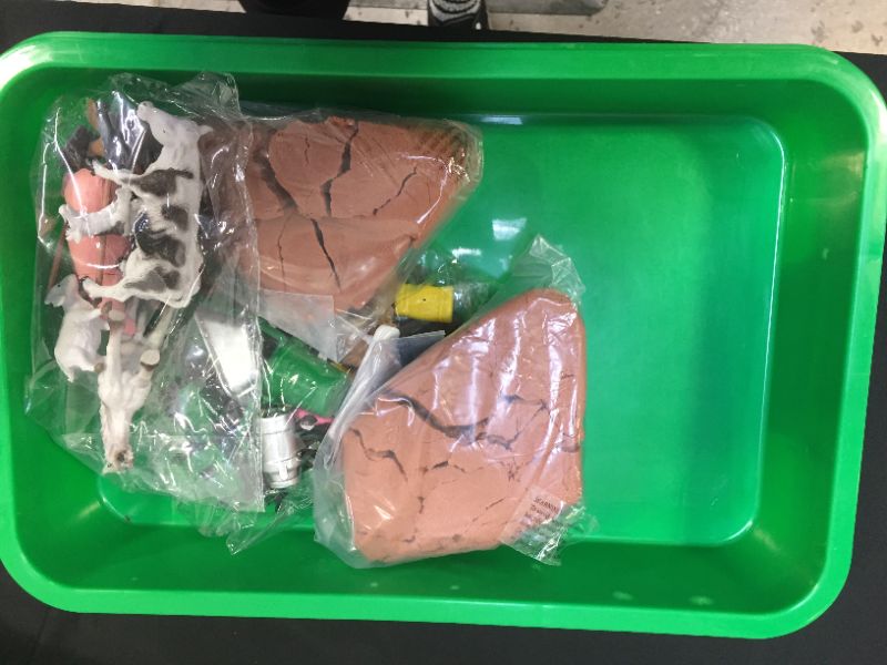 Photo 1 of FARM SAND KIT FOR KIDS 