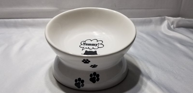 Photo 1 of YHY Cat Bowl,Raised Cat Food Bowls Anti Vomiting,Tilted Elevated Cat Bowl, Ceramic Pet Food Bowl - white
