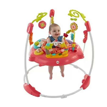 Photo 1 of Fisher-Price Pink Petals Jumperoo with Lights & Sounds