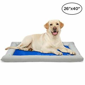 Photo 1 of Arf Pets Dog Cooling Bed – Gel Based Cooling Mat for Pets w/ Foam Bolster Bed
