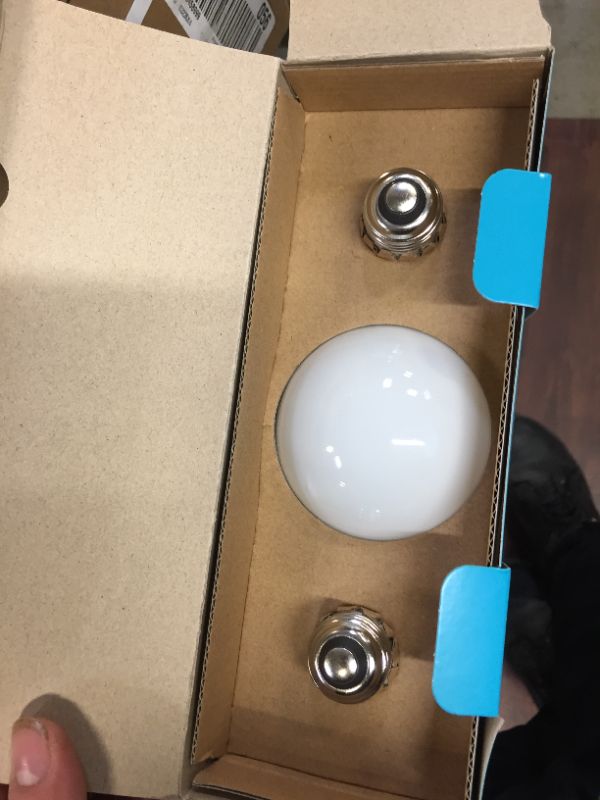 Photo 1 of 60-Watt Equivalent G25 Dimmable ENERGY STAR Frosted Glass Filament LED Vintage Edison Light Bulb Bright White (12-Pack)